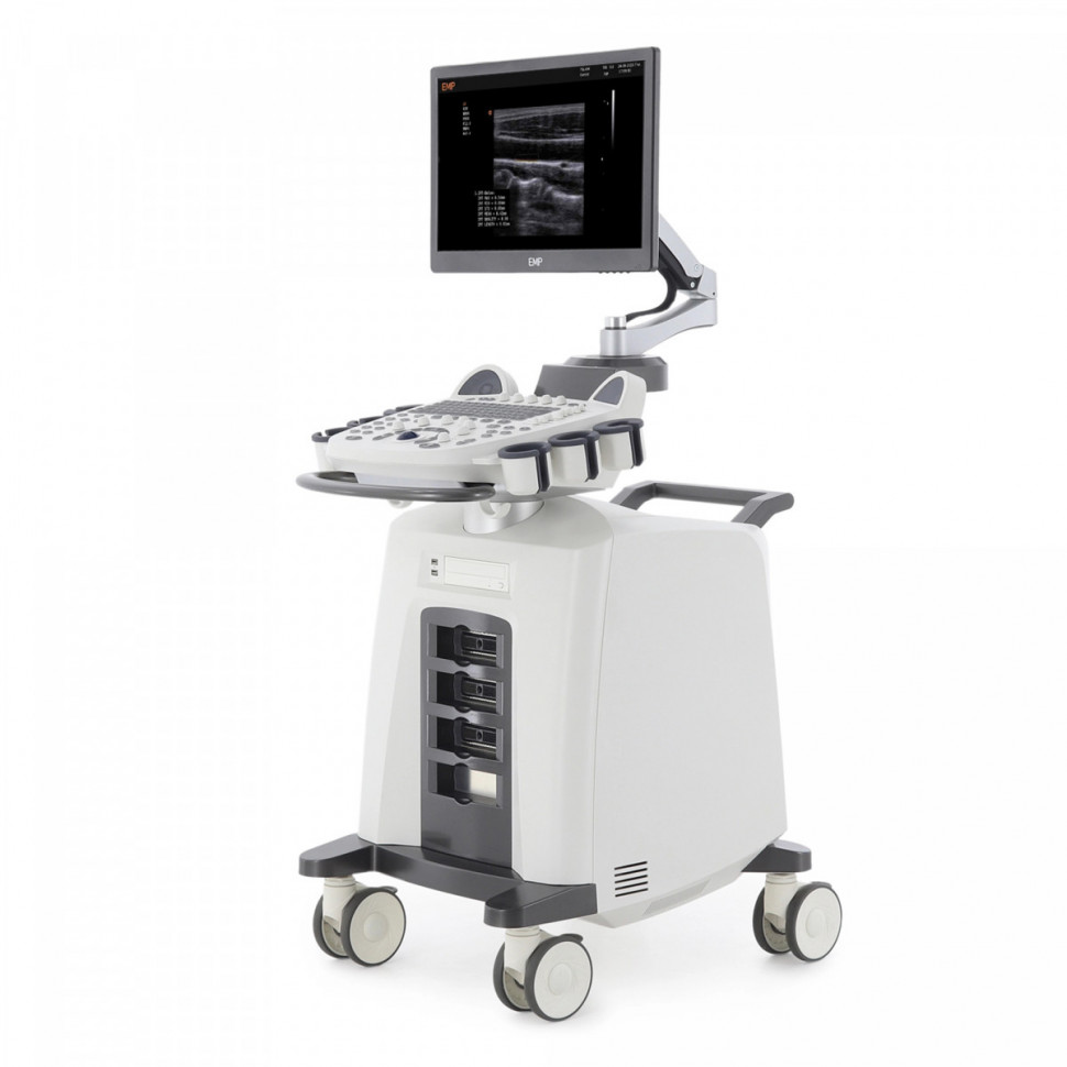 УЗИ СКАНЕР MED-MOS ЕМР3000 (3 датчика: линейный,конвексный,фазированный) УЗИ СКАНЕР MED-MOS ЕМР3000 (3 датчика: линейный,конвексный,фазированный)
